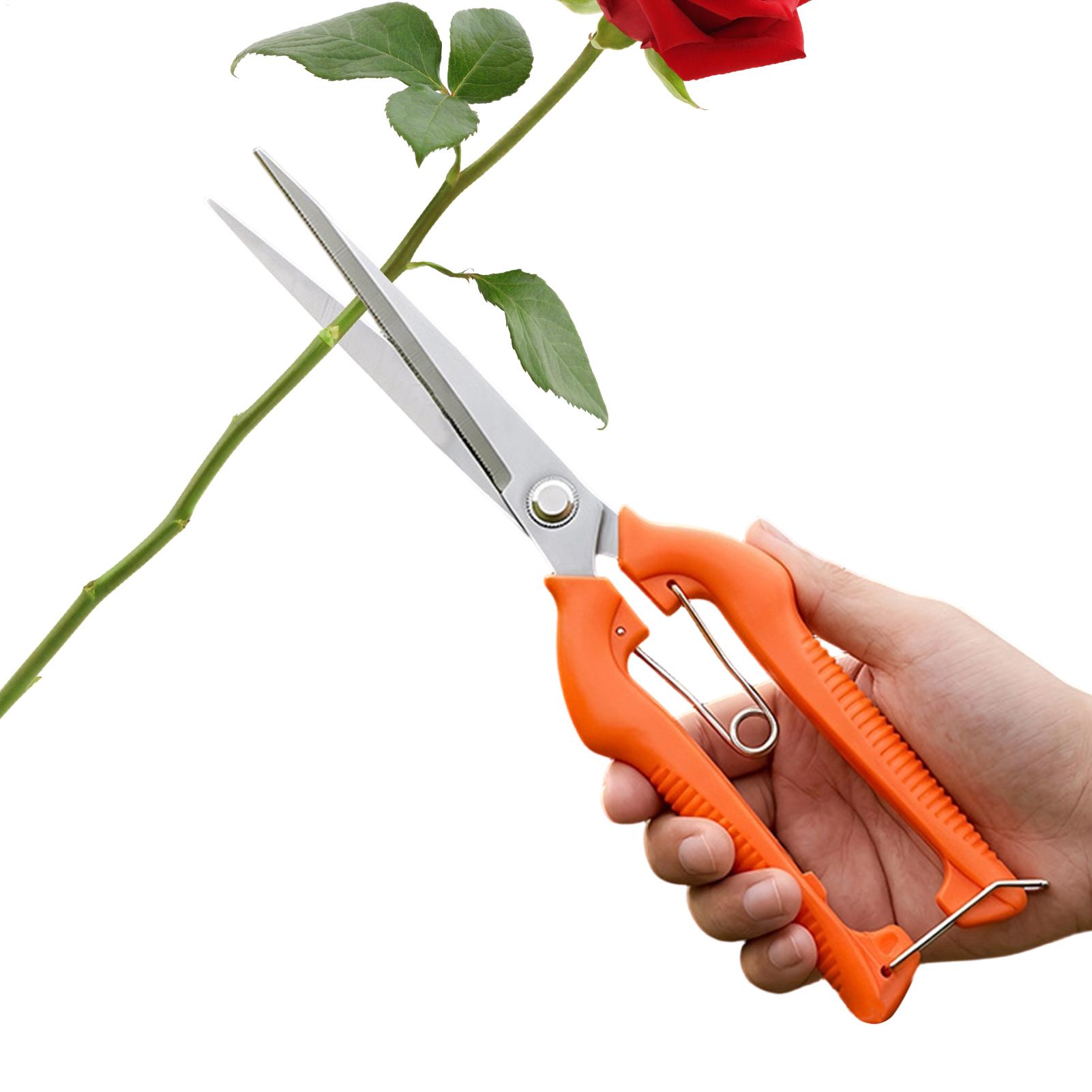 Bonsai Garden Rake - Budama Makası Üzüm Makası Bahçe Aleti