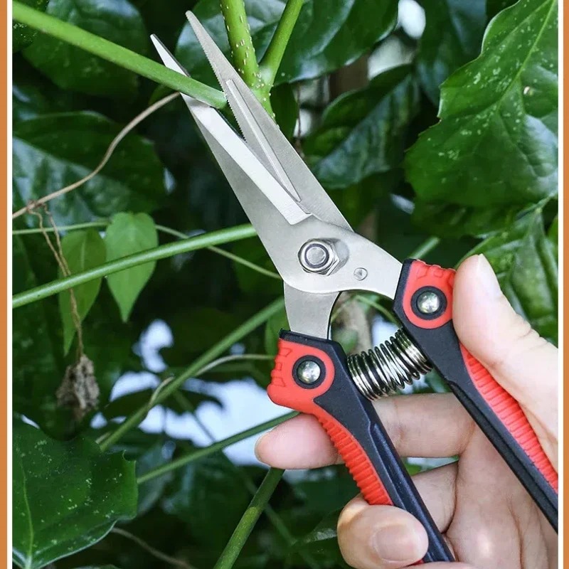 NEWSHARK Paslanmaz Çelik Budam - Bonsai Garden Rake incelemesi ve fiyatı