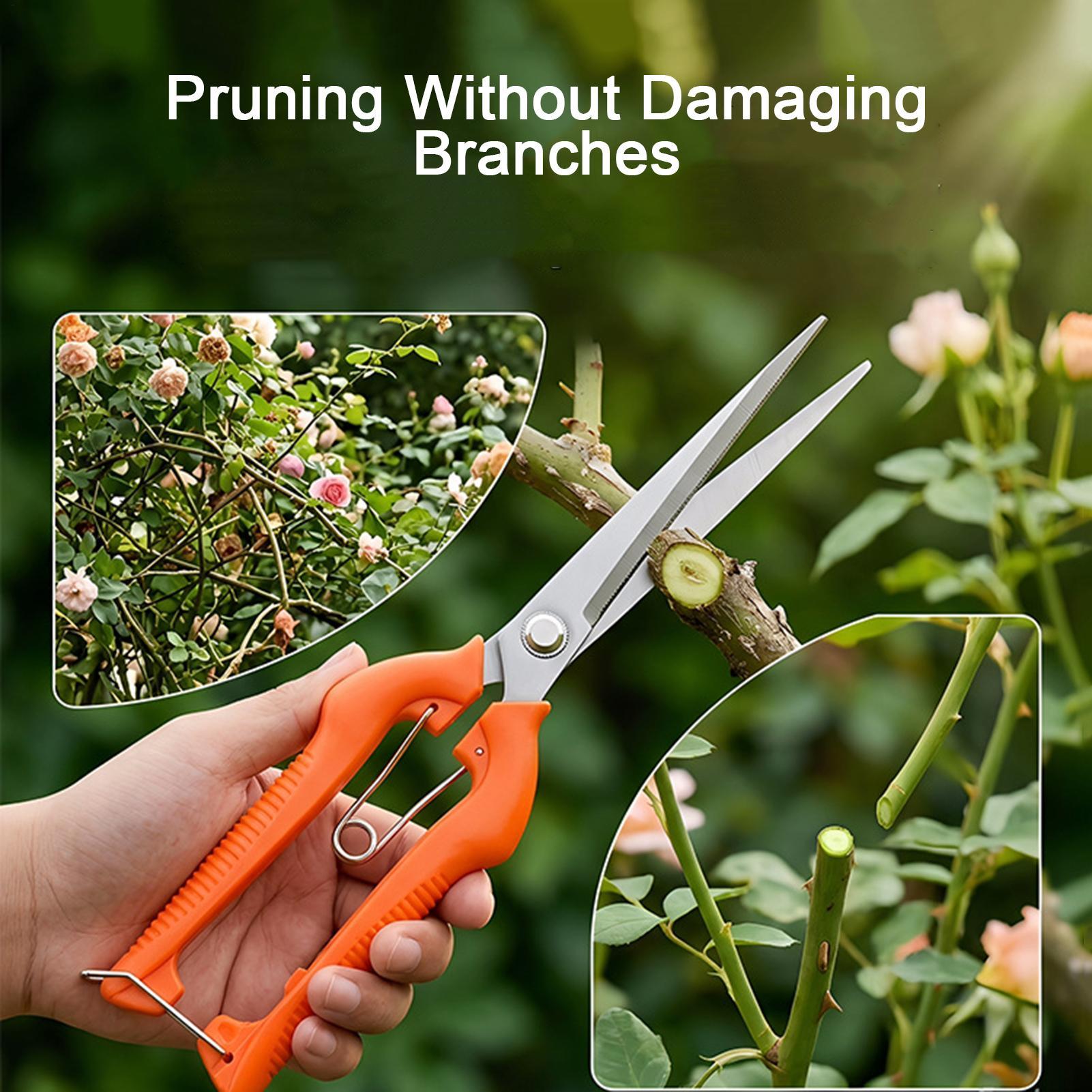 Budama Makası Üzüm Makası Bahç - Bonsai Garden Rake incelemesi ve fiyatı