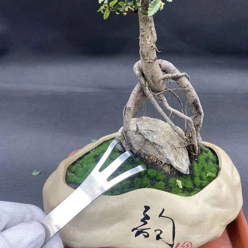 1 adet paslanmaz çelik kök tır - Bonsai Garden Rake incelemesi ve fiyatı