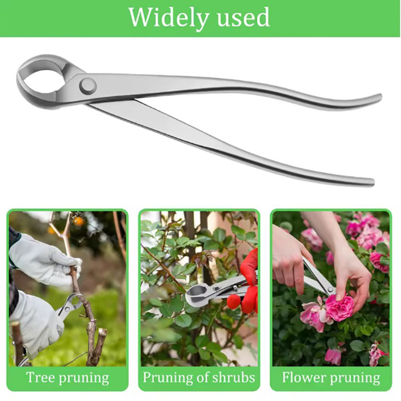 2 adet 210mm Paslanmaz Çelik B - Bonsai Garden Rake incelemesi ve fiyatı