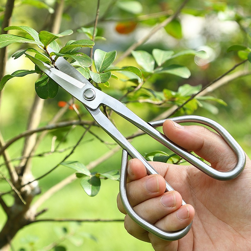 Yumuşak Yaprak Makası Bonsai A - Bonsai Garden Rake incelemesi ve fiyatı